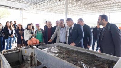İzmir Büyükşehir Belediye Başkanı Dr. Cemil Tugay, Bademler Köyü Tarımsal