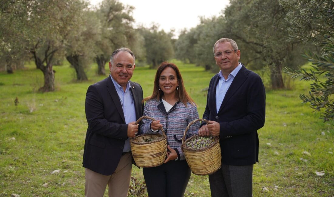 Ayvalık Uluslararası Zeytin Hasat ve Turizm Festivali, paneller, konserler, atölyeler