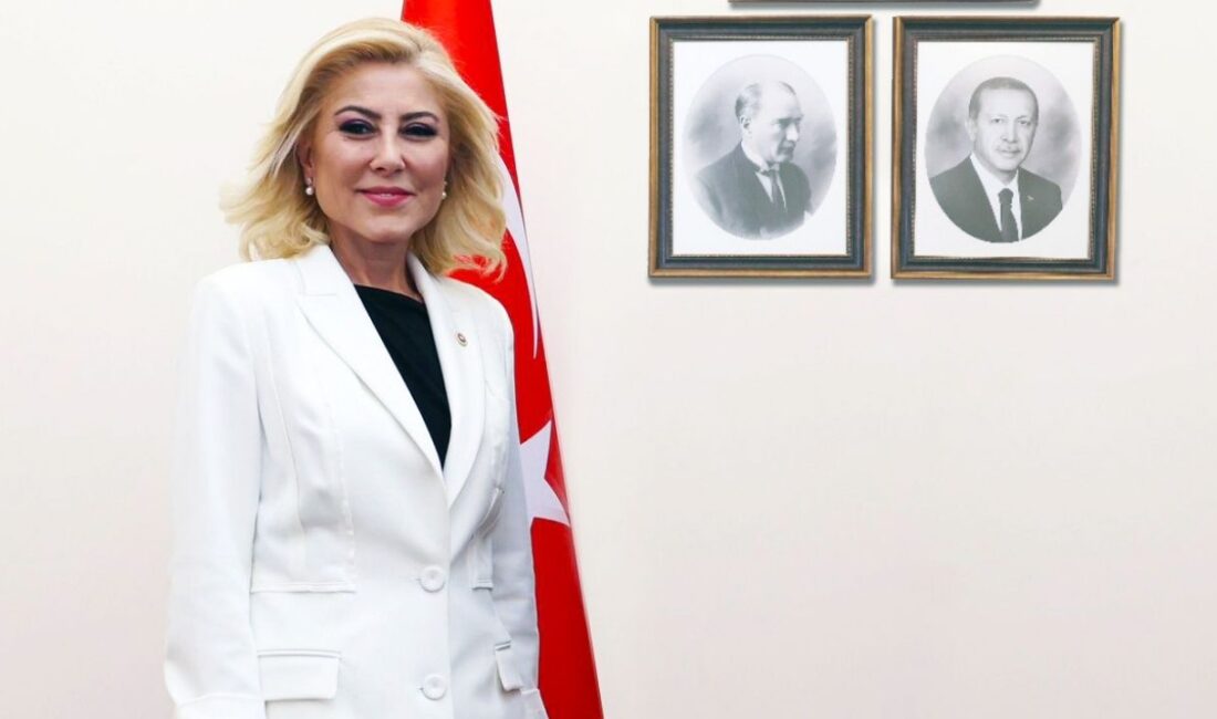 AK Parti İzmir Milletvekili Şebnem Bursalı, PKK’nın çekilme ve silah