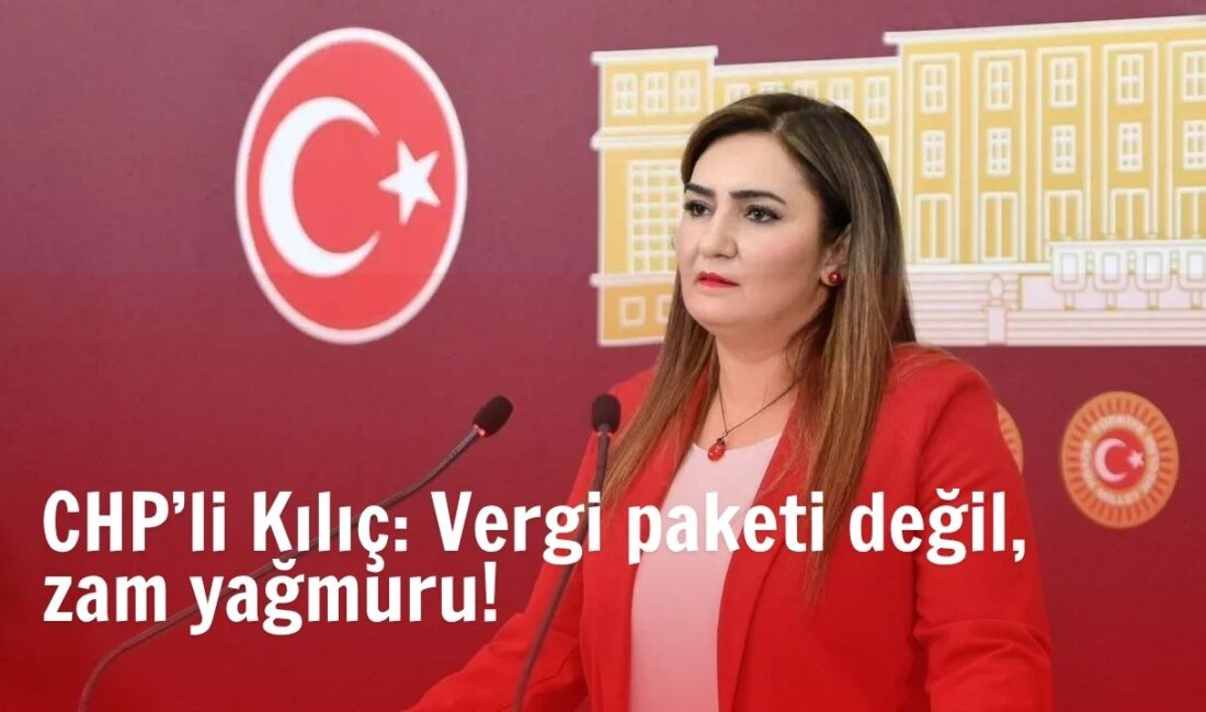 CHP İzmir Milletvekili Sevda Erdan Kılıç, TBMM Plan ve Bütçe