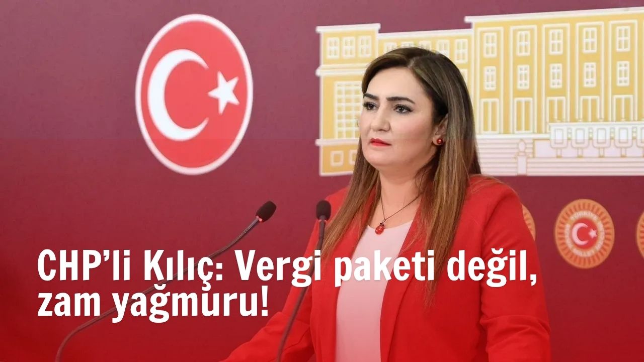 CHP İzmir Milletvekili Sevda Erdan Kılıç, TBMM Plan ve Bütçe