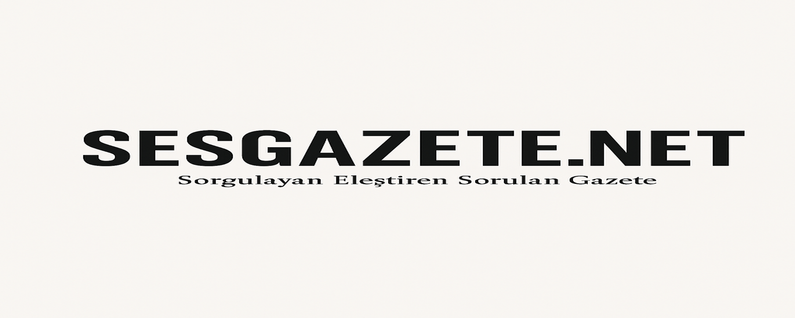 sesgazete.net