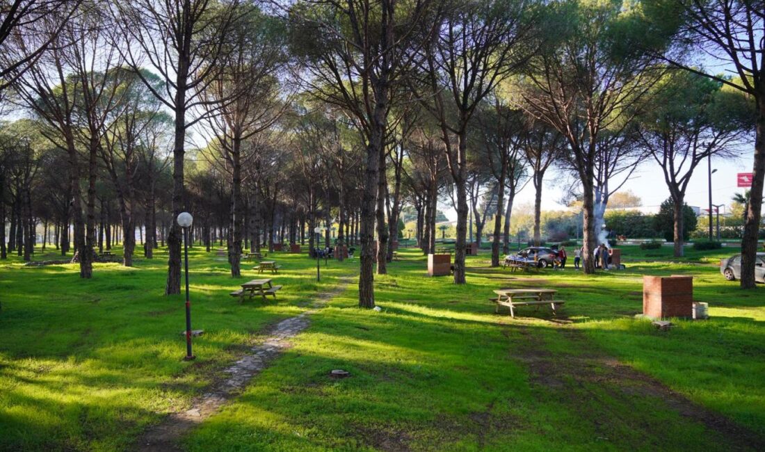 Altınova’da 150 kişilik kapasiteye sahip yeni mesire alanı hizmete açıldı.