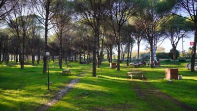 Altınova’da 150 kişilik kapasiteye sahip yeni mesire alanı hizmete açıldı.