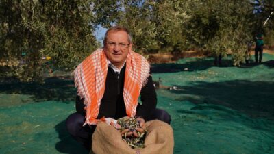 Ayvalık Belediye Başkanı Mesut Ergin, 26 Kasım Dünya Zeytin Ağacı