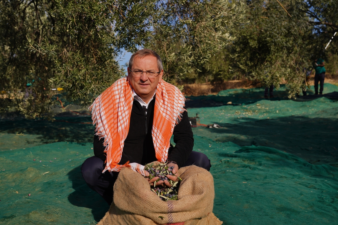 Ayvalık Belediye Başkanı Mesut Ergin, 26 Kasım Dünya Zeytin Ağacı