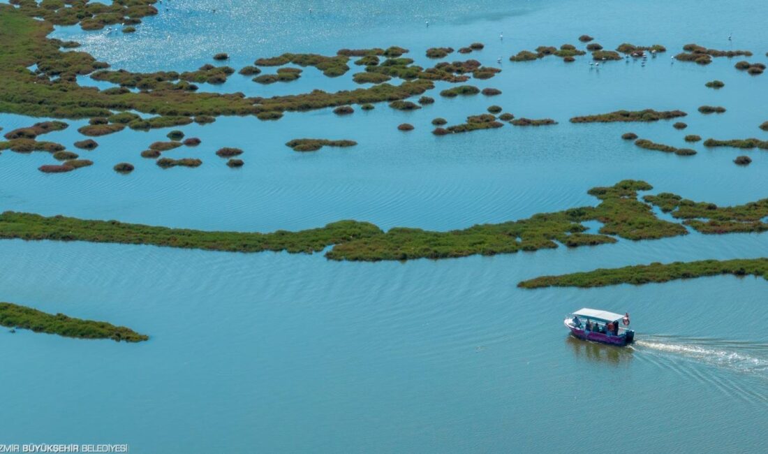 İzmir Büyükşehir Belediyesi’nin deniz ulaşım şirketi İZDENİZ, Bergama Vapuru ile