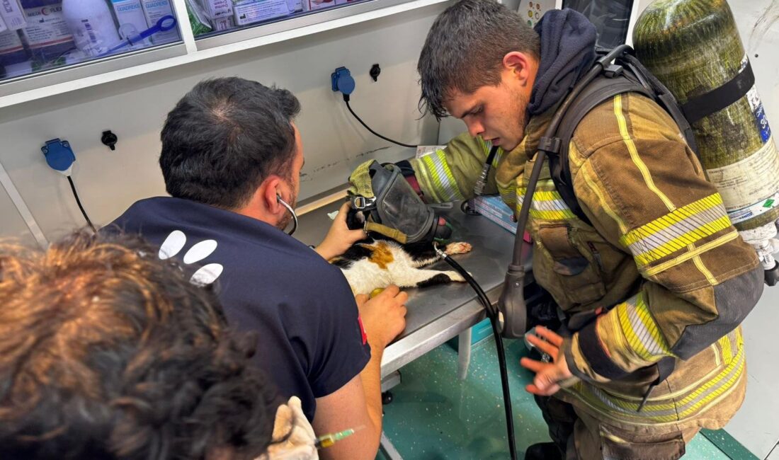 Konak İskelesi yakınında kanal borusuna sıkışan ve 5 gündür kayıp