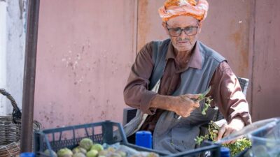 İzmir Büyükşehir Belediyesi, Beydağlı incir üreticilerine kalite kaybını önleyecek bin