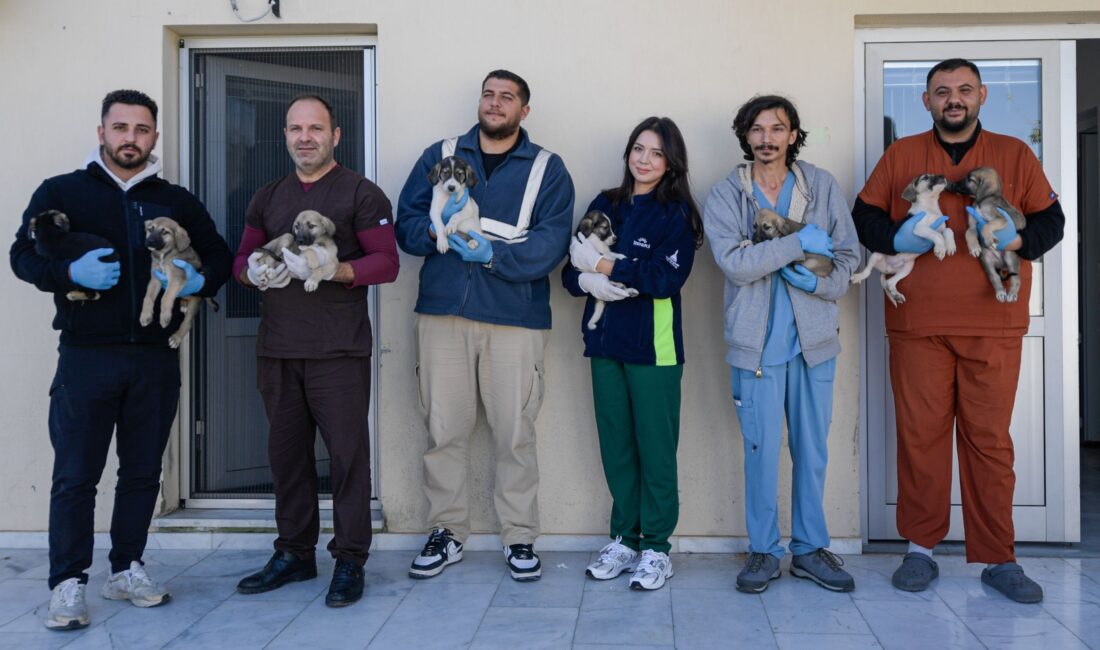 Menemen’de çıkan yangında kurtarılan 10 köpek ve 7 kedi, İzmir