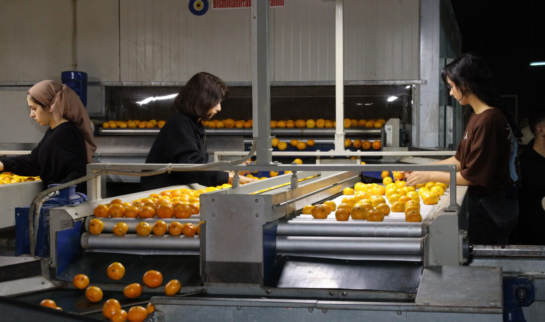 Ege Yaş Meyve Sebze İhracatçıları Birliği, tarıma genç ve nitelikli