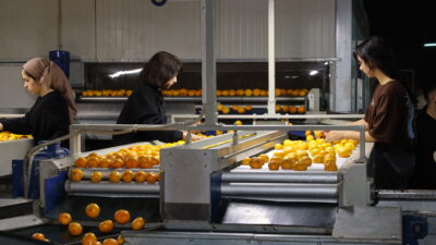 Ege Yaş Meyve Sebze İhracatçıları Birliği, tarıma genç ve nitelikli