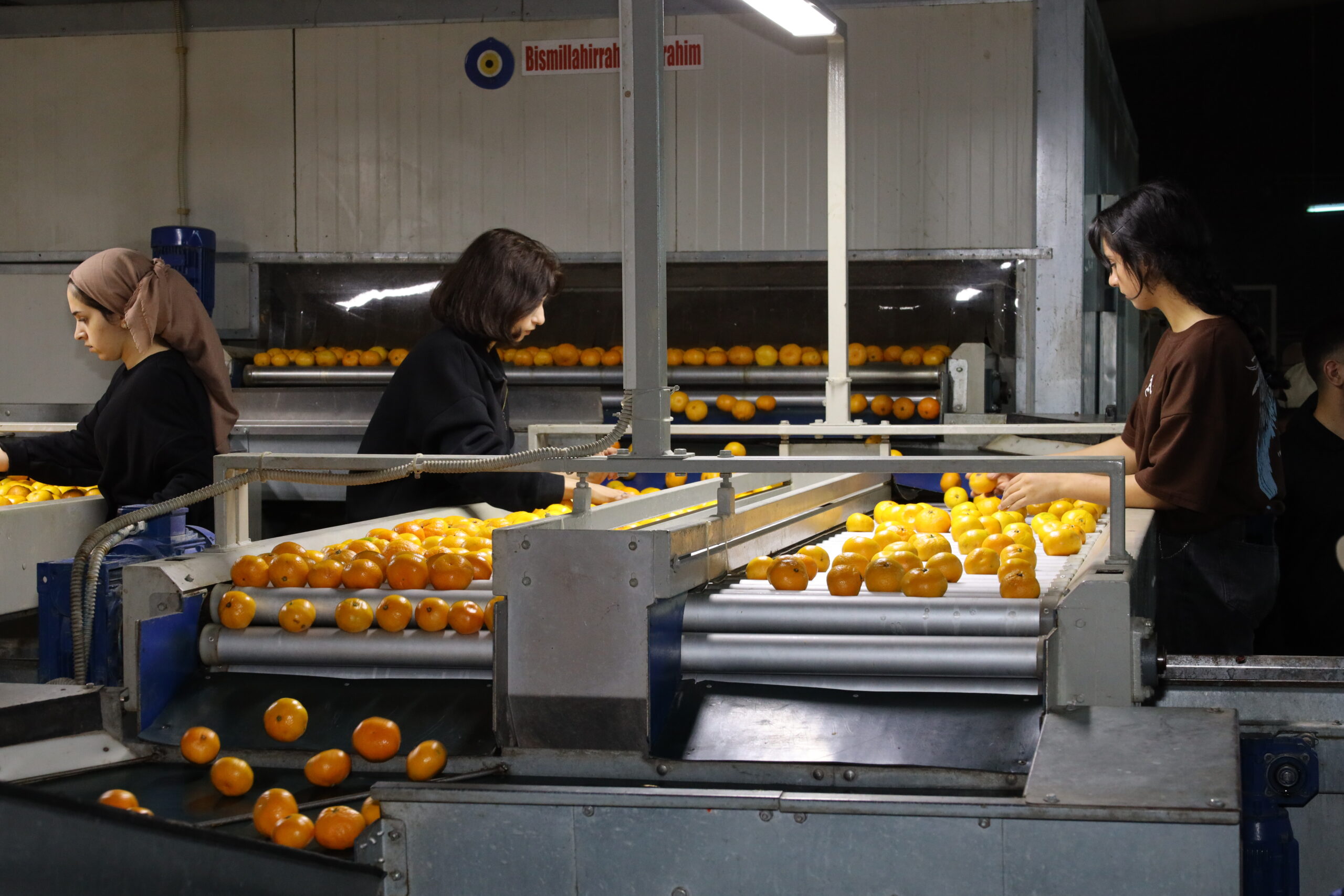 Ege Yaş Meyve Sebze İhracatçıları Birliği, tarıma genç ve nitelikli