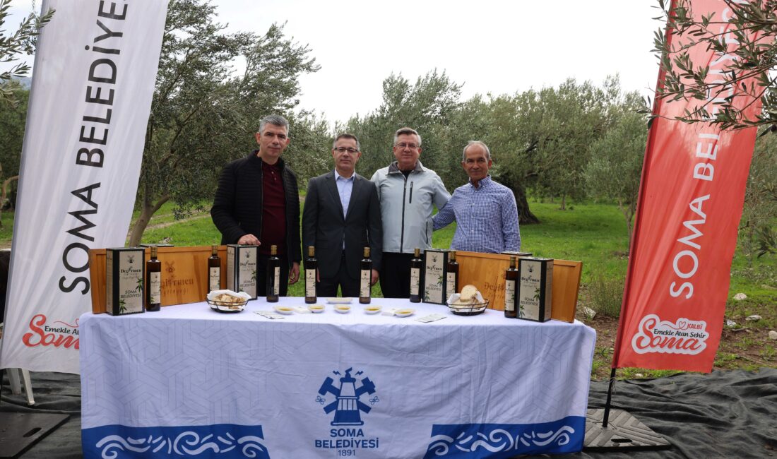 Kömürle anılan Soma, 17 yeni zeytinyağı fabrikasıyla tarımın merkezi oldu.