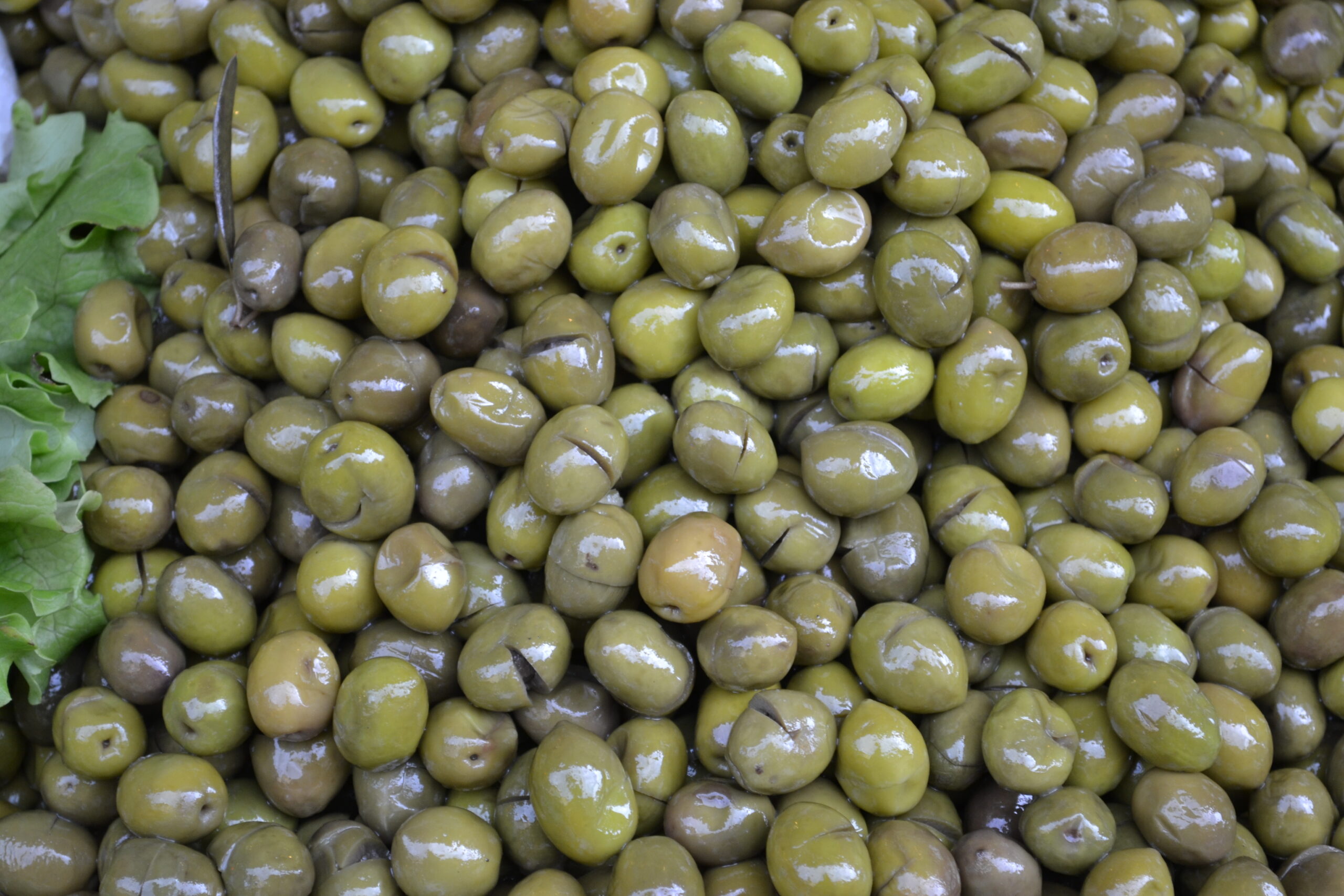 Türkiye, 2025/26 sofralık zeytin ihracatına yüzde 13 artışla başladı. Ekim