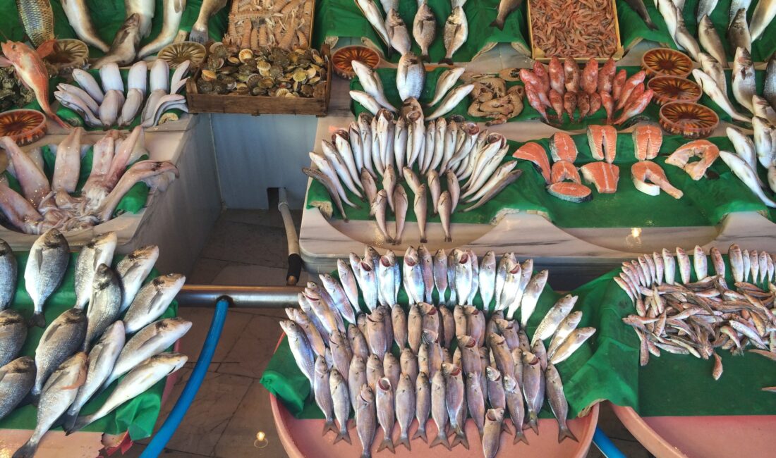 Ege Su Ürünleri ve Hayvansal Mamuller İhracatçıları Birliği, ekimde 179