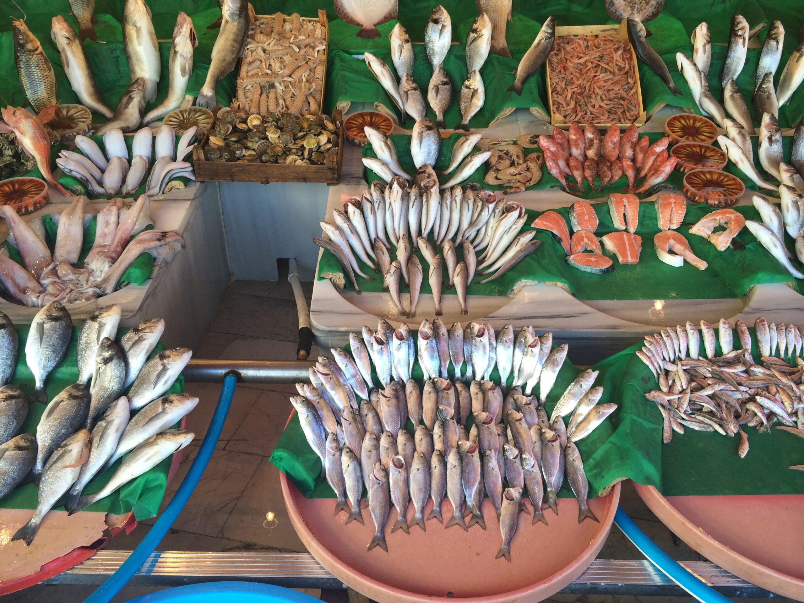 Ege Su Ürünleri ve Hayvansal Mamuller İhracatçıları Birliği, ekimde 179