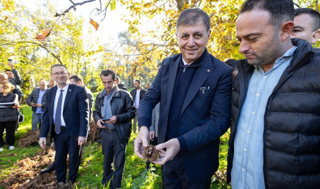 İzmir Büyükşehir Belediye Başkanı Dr. Cemil Tugay, Beydağ’daki kestane üreticileriyle