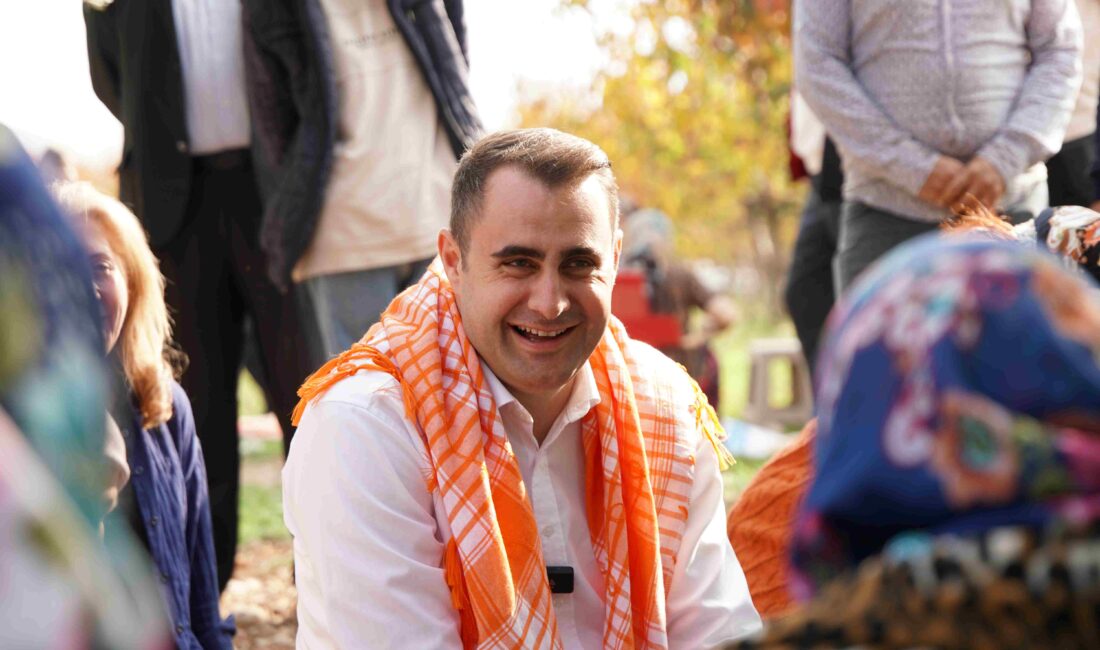 CHP İzmir İl Başkanı Çağatay Güç, Kemalpaşa’daki zeytin hasadında çiftçilerle