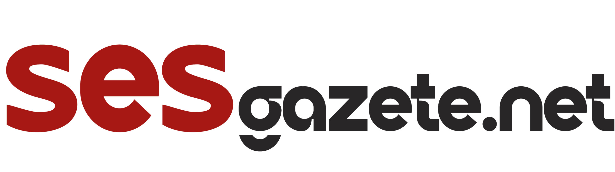 sesgazete.net
