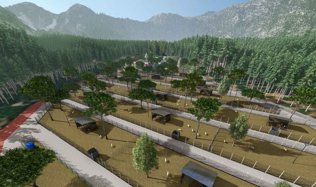 Kemalpaşa Belediyesi, bin 800 sokak hayvanına güvenli yuva sağlayacak “Kemalpaşa