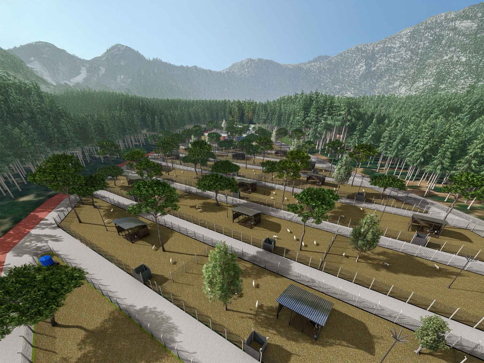 Kemalpaşa Belediyesi, bin 800 sokak hayvanına güvenli yuva sağlayacak “Kemalpaşa