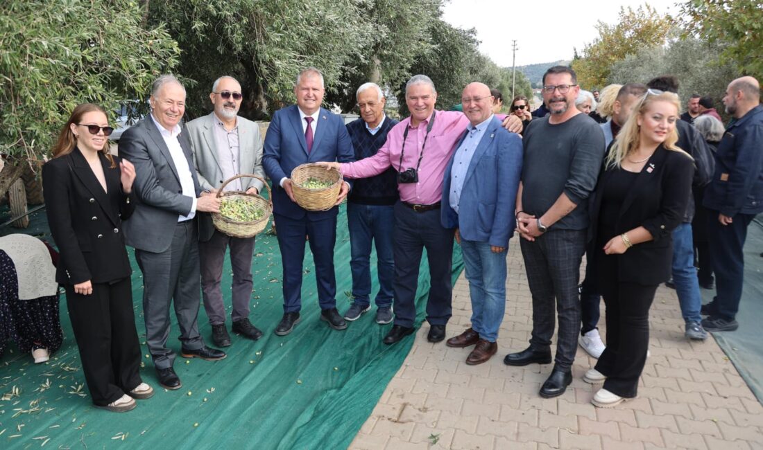 Urla’da bu yıl ikincisi düzenlenen Uluslararası Zeytin ve Sanat Festivali,