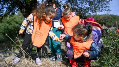 Bornova Belediyesi, 26 Kasım Dünya Zeytin Ağacı Günü’nde öğrencilerle birlikte