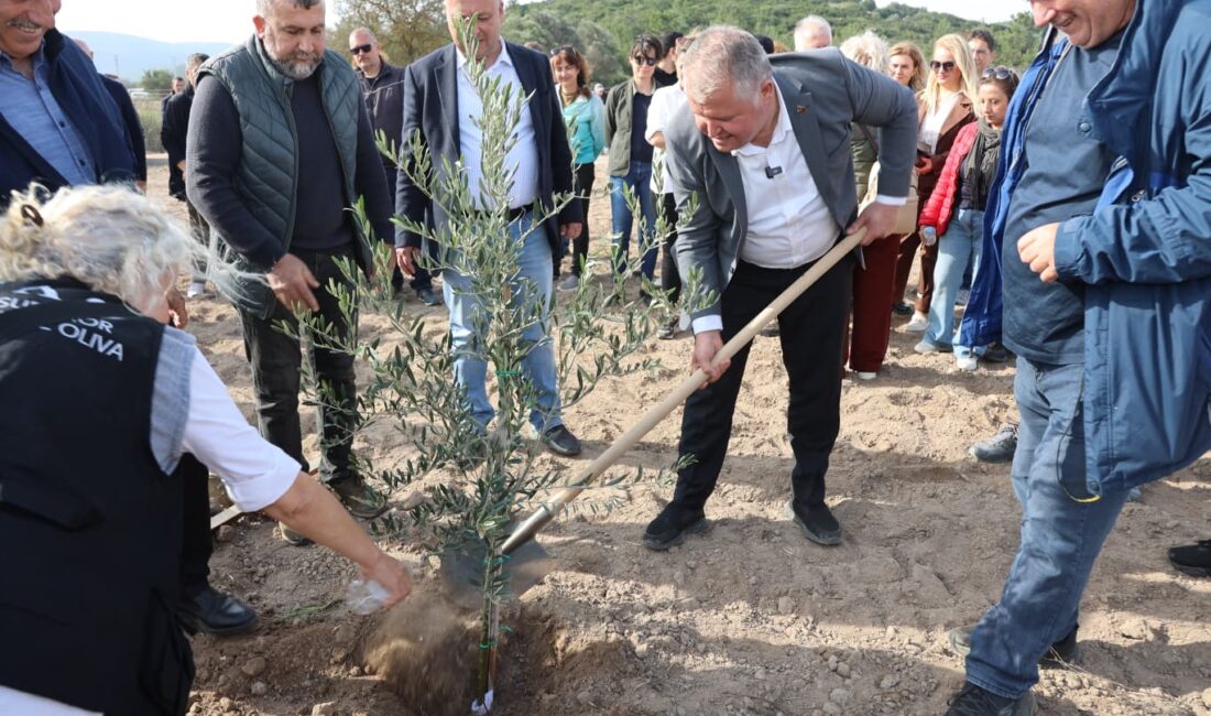 Atatürk’ün vasiyeti doğrultusunda Urla’da kurulan Zeytin Koleksiyon Bahçesi’nde ilk fidanlar
