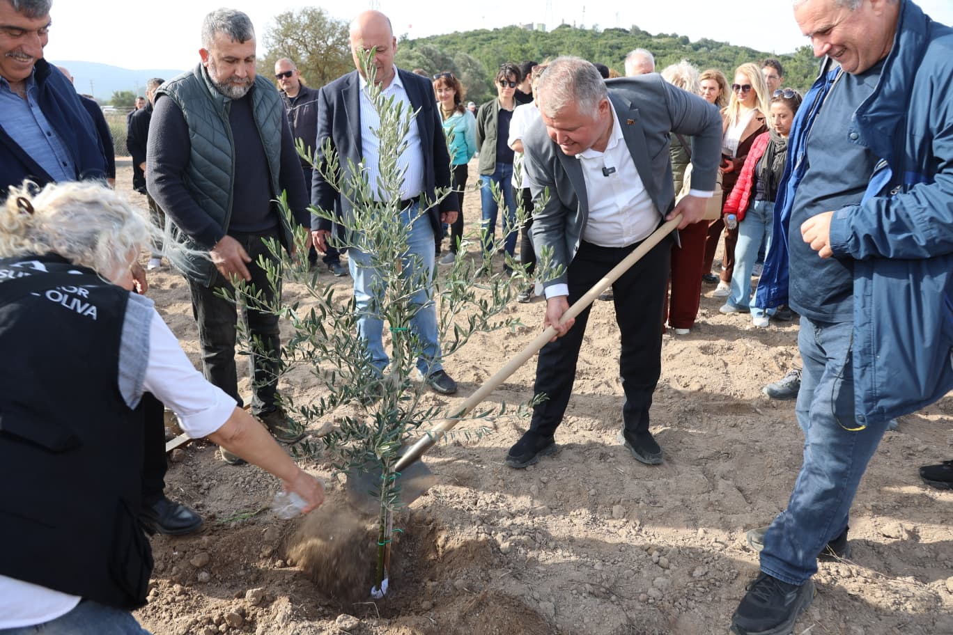 Atatürk’ün vasiyeti doğrultusunda Urla’da kurulan Zeytin Koleksiyon Bahçesi’nde ilk fidanlar