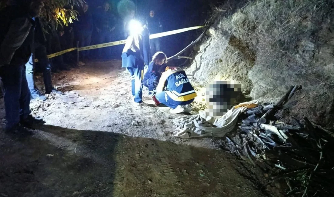 Aydın’ın Nazilli ilçesinde, odun toplamak için gittiği kestane bahçesinde bir