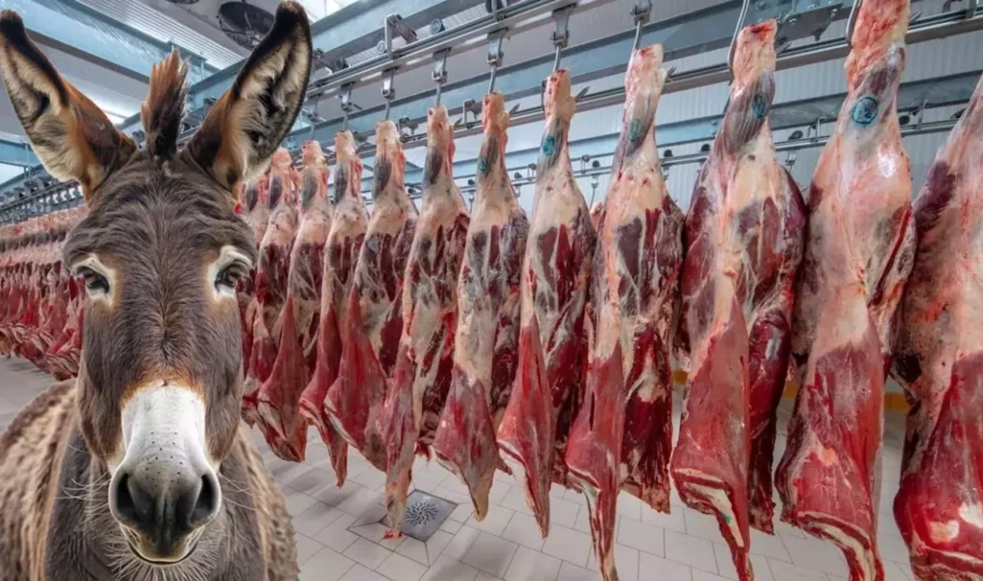 Tarım ve Orman Bakanlığı’nın yayımladığı yeni taklit ve tağşiş listesinde,