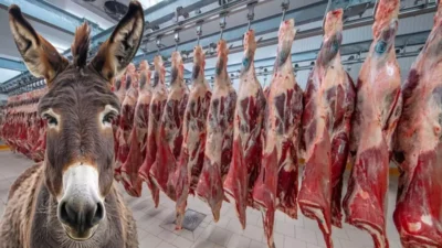 Tarım ve Orman Bakanlığı’nın yayımladığı yeni taklit ve tağşiş listesinde,