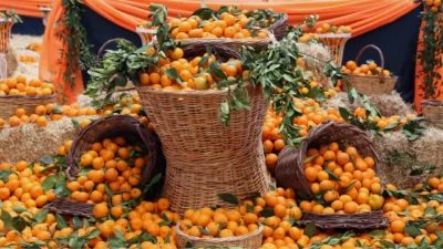 Menderes Belediyesi’nin geleneksel Gümüldür Özdere Mandalina Festivali 14-16 Kasım’da gerçekleşecek.