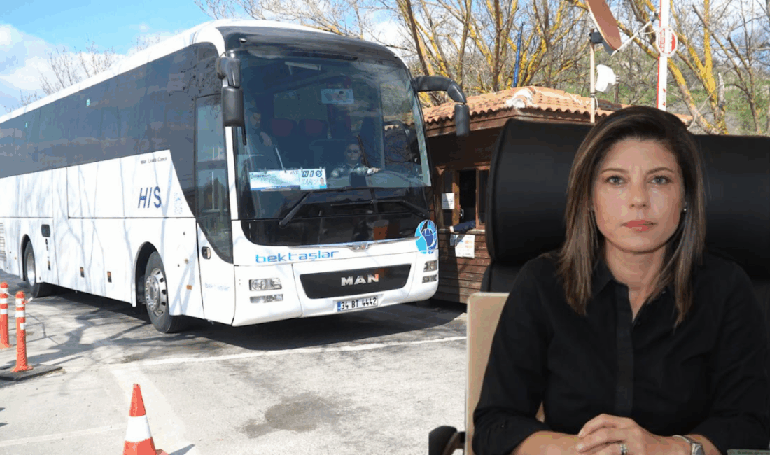 CHP Efes Selçuk İlçe Başkanı İpek Onbaşıoğlu, Efes Alt Kapı