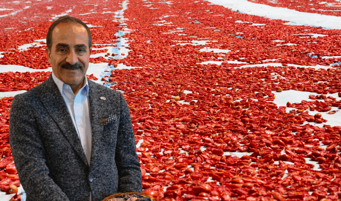 Türkiye, 2025’in ilk 10 ayında 108 milyon dolarlık kuru domates