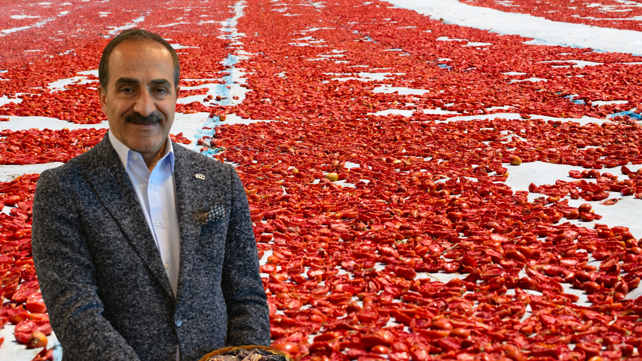 Türkiye, 2025’in ilk 10 ayında 108 milyon dolarlık kuru domates