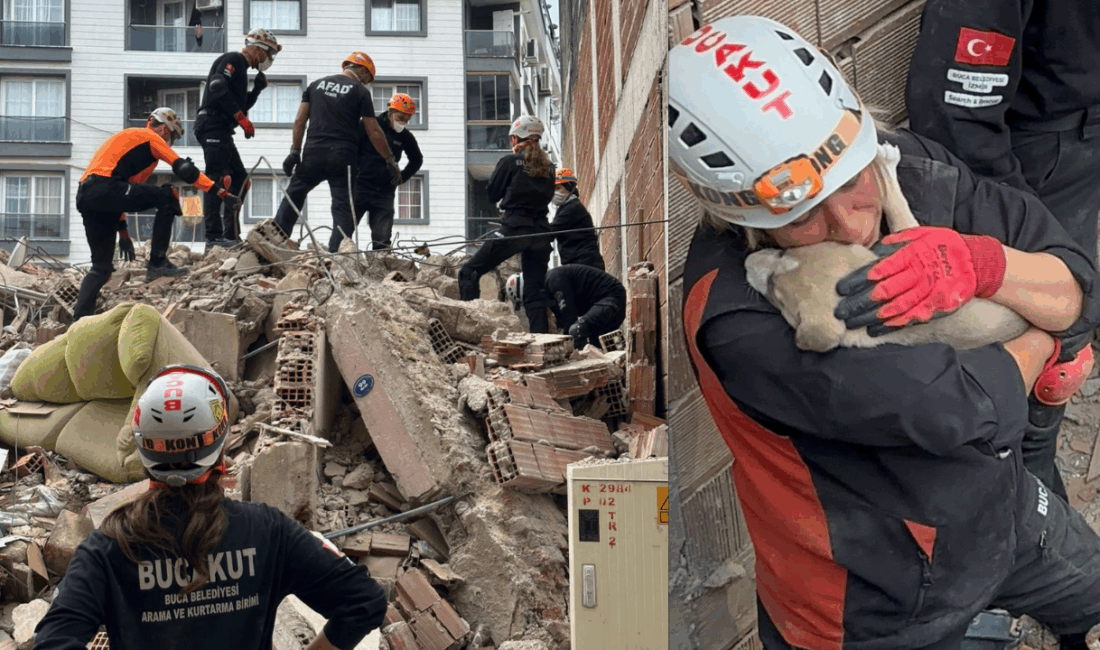 Buca’da yıkılan bir evin enkazında mahsur kalan yavru köpek, BUCAKUT