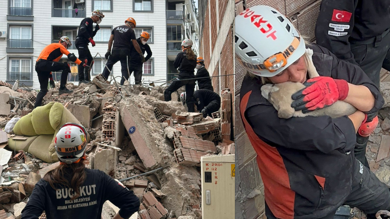 Buca’da yıkılan bir evin enkazında mahsur kalan yavru köpek, BUCAKUT