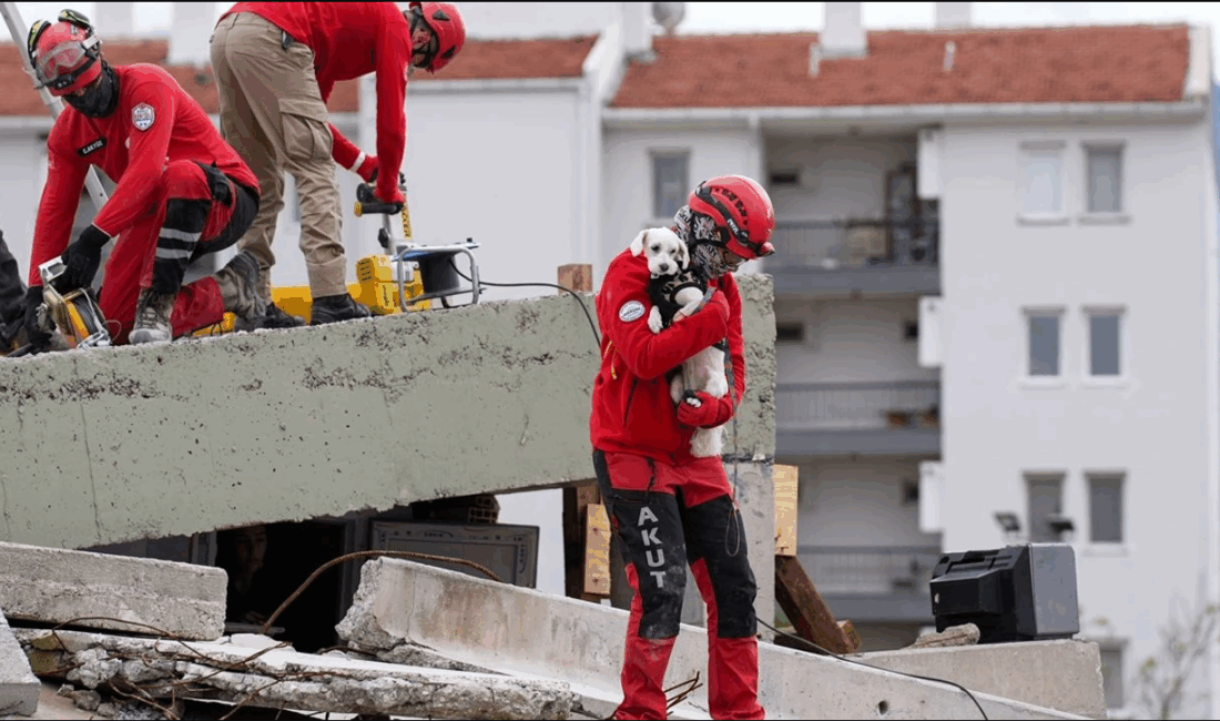 Torbalı Belediyesi, 30 ilçe belediyesinin katılımıyla düzenleyeceği Hayvan Arama ve