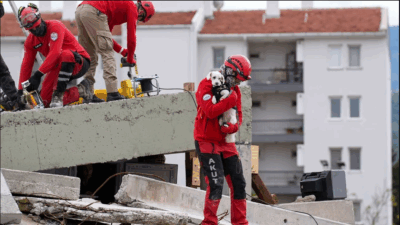 Torbalı Belediyesi, 30 ilçe belediyesinin katılımıyla düzenleyeceği Hayvan Arama ve