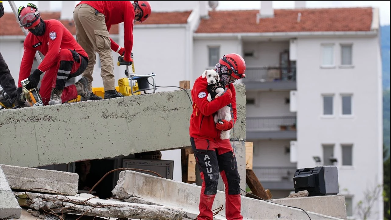 Torbalı Belediyesi, 30 ilçe belediyesinin katılımıyla düzenleyeceği Hayvan Arama ve