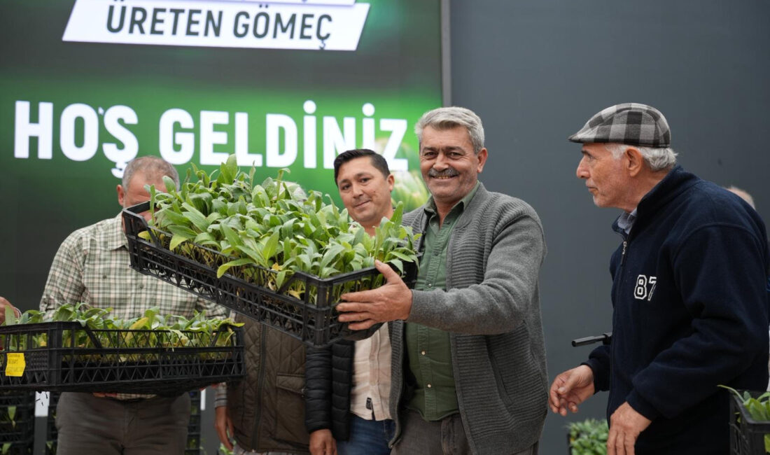 Gömeç Belediyesi, “Üreten Çiftçi, Üreten Gömeç” projesiyle 50 bin enginar