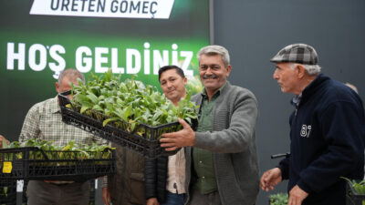 Gömeç Belediyesi, “Üreten Çiftçi, Üreten Gömeç” projesiyle 50 bin enginar