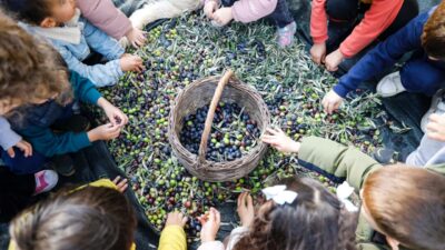Masal Evi öğrencileri, Seferihisar zeytinliklerinde topladıkları zeytinleri zeytinyağına dönüştürdü; ihtiyaç