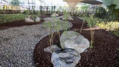 İzmir Büyükşehir Belediyesi, 23 ilçede kurakçıl peyzaj dönüşümünü tamamladı. 80