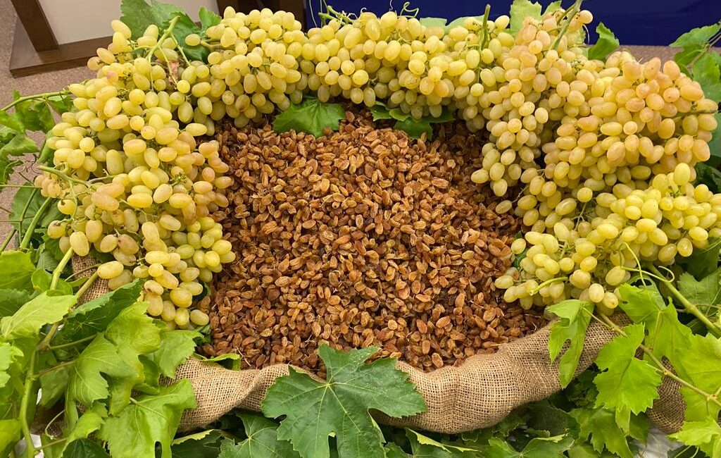 Dünya çekirdeksiz kuru üzüm üretimi 2025’te yüzde 7 azaldı. Türkiye,