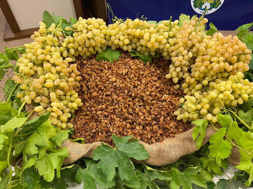 Dünya çekirdeksiz kuru üzüm üretimi 2025’te yüzde 7 azaldı. Türkiye,