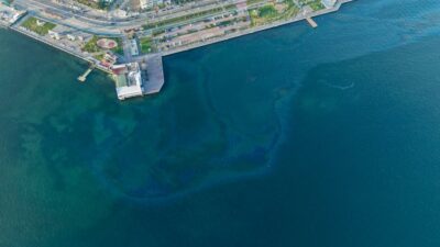 İzmir Büyükşehir Belediye Başkanı Cemil Tugay, İzmir Körfezi’nin yeniden kirletildiğini