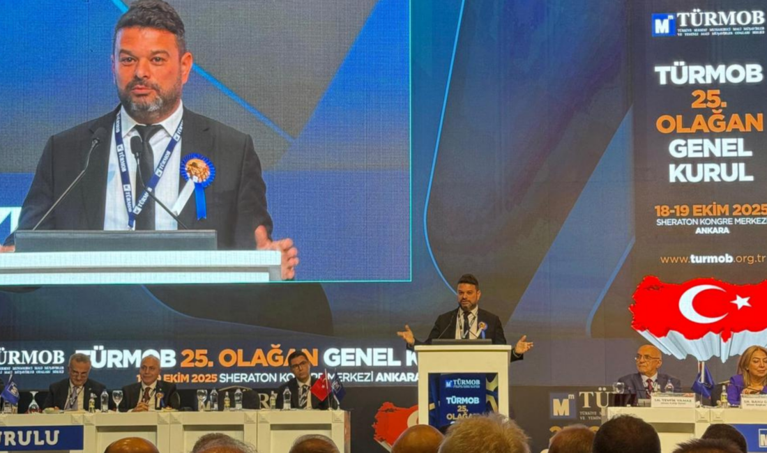 24. Dönem İzmir Serbest Muhasebeci Mali Müşavirler Odası Başkan Yardımcısı